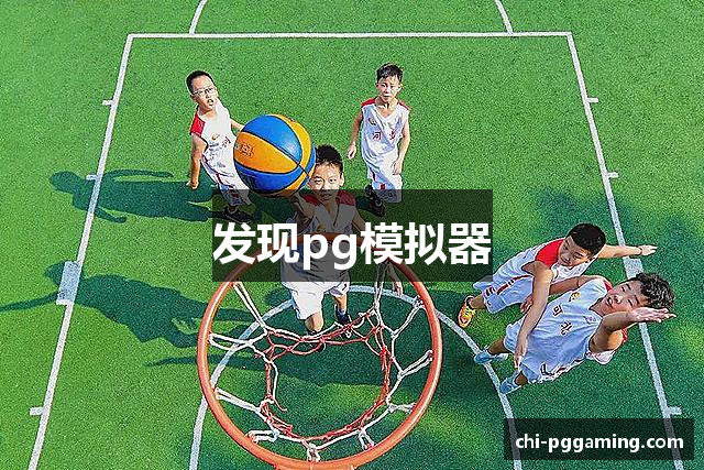发现pg模拟器